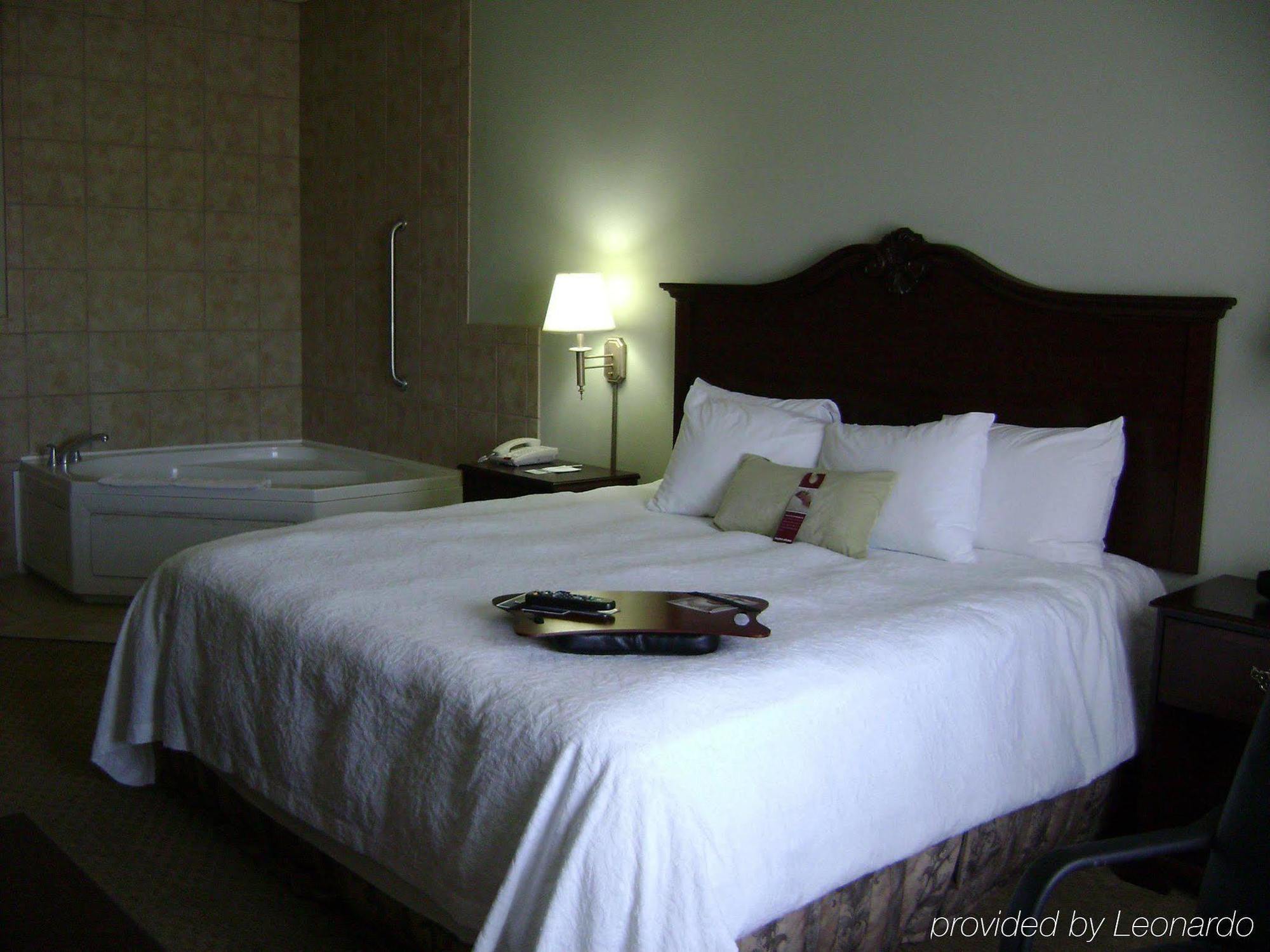 Hampton Inn Fort Stockton Pokój zdjęcie